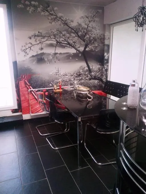 Vip Design Apartment M. Dachterrasse 德累斯顿 0*,